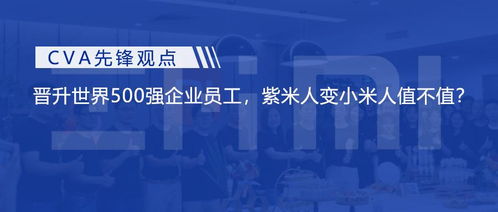 小米收購(gòu)生態(tài)鏈伙伴公司,是特例抑或常態(tài)化