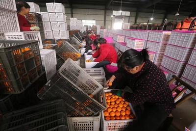 &ldquo;全國網(wǎng)絡(luò)主流媒體行&rdquo;走進(jìn)湖北宜昌 生態(tài)發(fā)展看荊楚 電商平臺(tái)助力農(nóng)產(chǎn)品上行