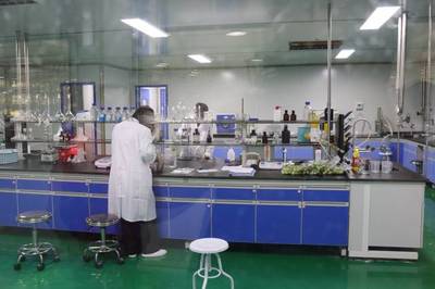 日處理300噸鮮梅、生產(chǎn)6款青梅酒,陸河青梅產(chǎn)業(yè)園正式投入使用