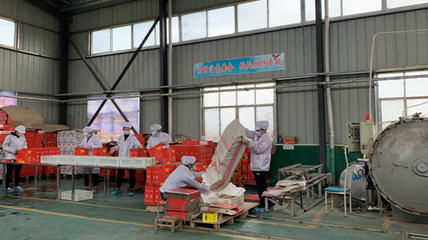 棗陽(yáng):精深加工破局 飲料助農(nóng)增收