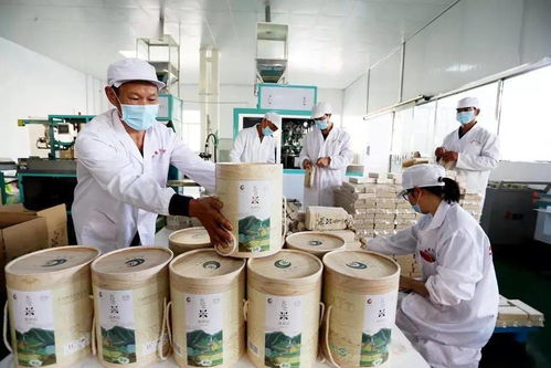 谷香飄萬里，增收靠大米 大額資金如何助力產業騰飛